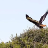 Отель Addo Palace Bush Huts, фото 9