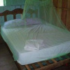 Отель Manaus Jungle Hostel, фото 3
