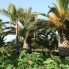 Отель Villa Lisa Bed and Breakfast, фото 4