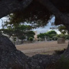 Отель Appartamenti la Pinetina di Favignana, фото 5