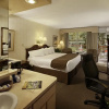 Отель Zoders Inn and Suites, фото 4