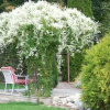 Отель Bavarian Orchard Motel, фото 11