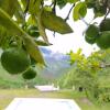 Отель Huigra Viejo Camping Resort, фото 4