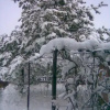 Отель Árnyas Vendégház, фото 7