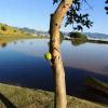 Отель Tocas do Lago, фото 6