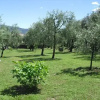 Отель Campolivo, фото 5