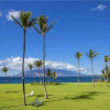 Отель Kihei Surfside 212 - 1 Br Condo, фото 11