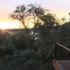 Отель Avian Leisure Bush Lodge, фото 7
