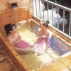 Отель Nibukawa Onsen Hotel, фото 14