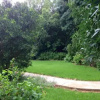 Отель Asboom/Ashtree Guesthouse, фото 8