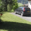 Отель Chalet Gypaète La Clusaz, фото 4