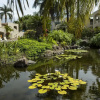 Отель Palms at Wailea #609, фото 20