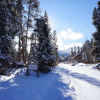 Отель Wildwood Suites 308, фото 5