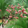 Отель Cabinas Cada Luna, фото 4