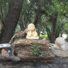 Отель Maipo Shanti Lodge, фото 4