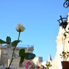 Отель Apulia '800, фото 1