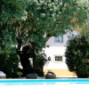 Отель Quinta do Casal de Santo António, фото 4