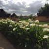 Отель Domaine de La Courillère, фото 15