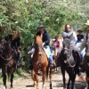 Отель Hacienda La Merced Baja, фото 3
