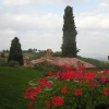 Отель Villa San Sanino - Tuscany, фото 3