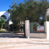 Отель Olive House, фото 2