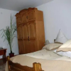 Отель Pensiunea Casa Bianca Bucovina, фото 8