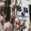 Отель White Lady Bed and Breakfast, фото 6