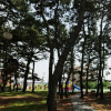 Отель Jinha Hotel & Resort, фото 18