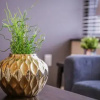 Отель Bold Downtown 1BR Near Memorial Park, фото 11
