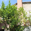 Отель Terrazza sul Golfo, фото 1