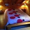 Отель Chalet Le Roncing, фото 2