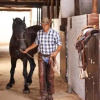 Отель Cape Winelands Riding, фото 7
