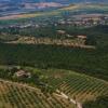 Отель Agriturismo Cornieto, фото 9