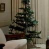 Отель Tara House Bed & Breakfast, фото 3