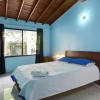 Отель Tiger Hostel, фото 11