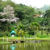 Отель El Portal, Paraíso Natural, фото 11