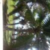 Отель Sea Breeze Bungalow, фото 9