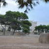 Отель Appartamenti la Pinetina di Favignana, фото 9