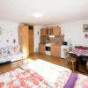 Отель Apartmaji Verica Ceklin, фото 10