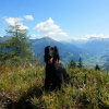 Отель Appartementhaus Winkler, фото 4