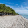 Отель Beach Inn, фото 8