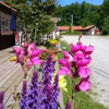 Отель Hälluddens Stugby och Vandrarhem, фото 3