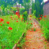 Отель Ameli Garden, фото 12