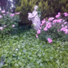 Отель Giardino a 194, фото 9