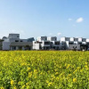 Отель Sanbangsanae Resort, фото 7