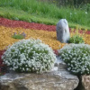 Отель Oberstockerhof, фото 10