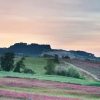Отель Casale La Collina, фото 3