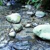 Отель Maolin Dee Gorge Rukai Ecological Homestay, фото 2