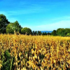 Отель Holiday Home Skalleberg, фото 9