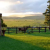 Отель Petras Country Guesthouse, фото 7
